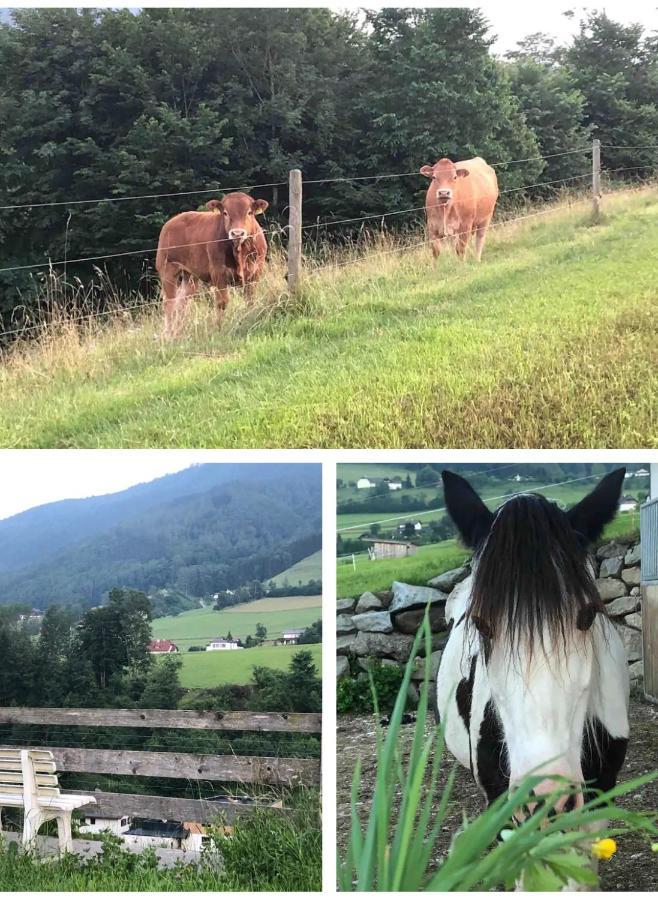 Ferienhaus Am Traunsee Mit Bergsicht Траункирхен Екстериор снимка